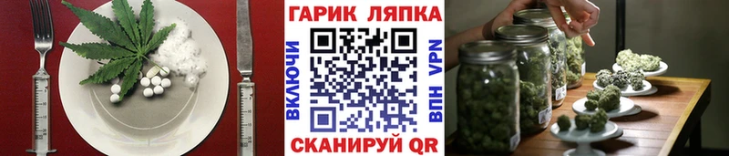 где купить   OMG ссылки  Cannafood конопля  Альметьевск 