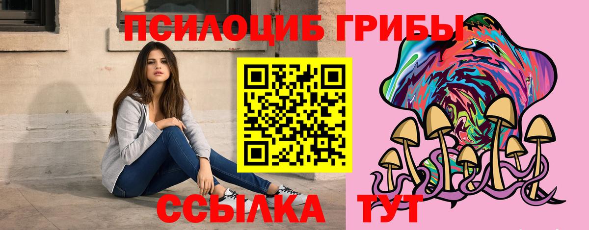 как найти наркотики  Галлюциногенные грибы MAGIC MUSHROOMS  Вход с VPN  Альметьевск 