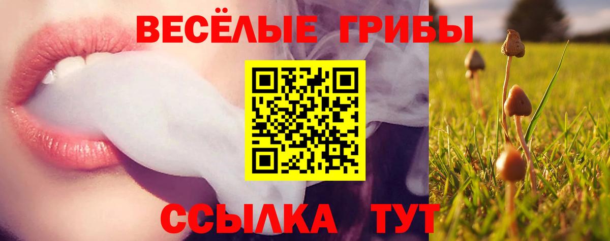 Галлюциногенные грибы Psilocybine cubensis Альметьевск